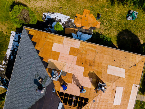 Best Flat Roof Repair Services  in Wauconda, IL